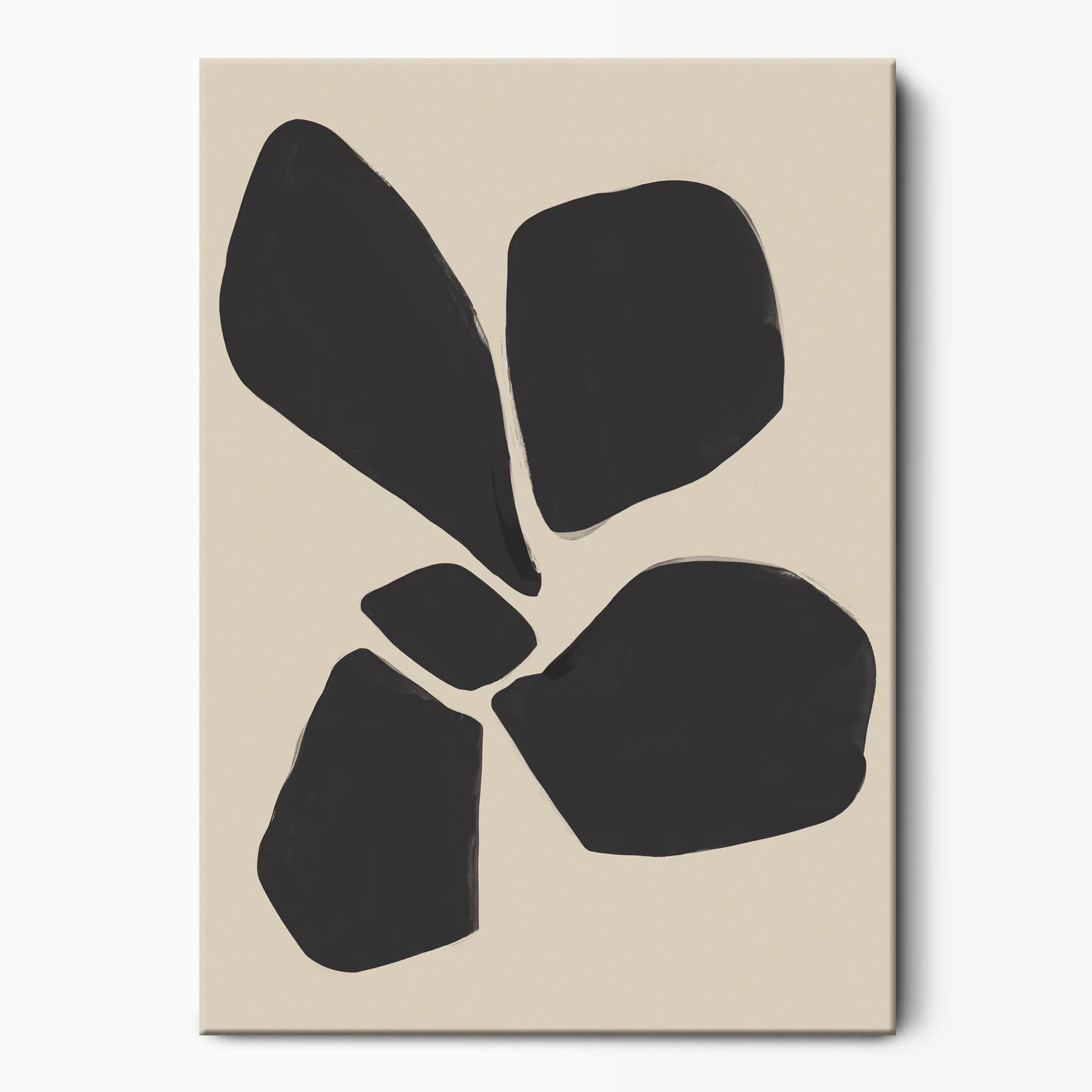 Collection d'art de fleurs de vent