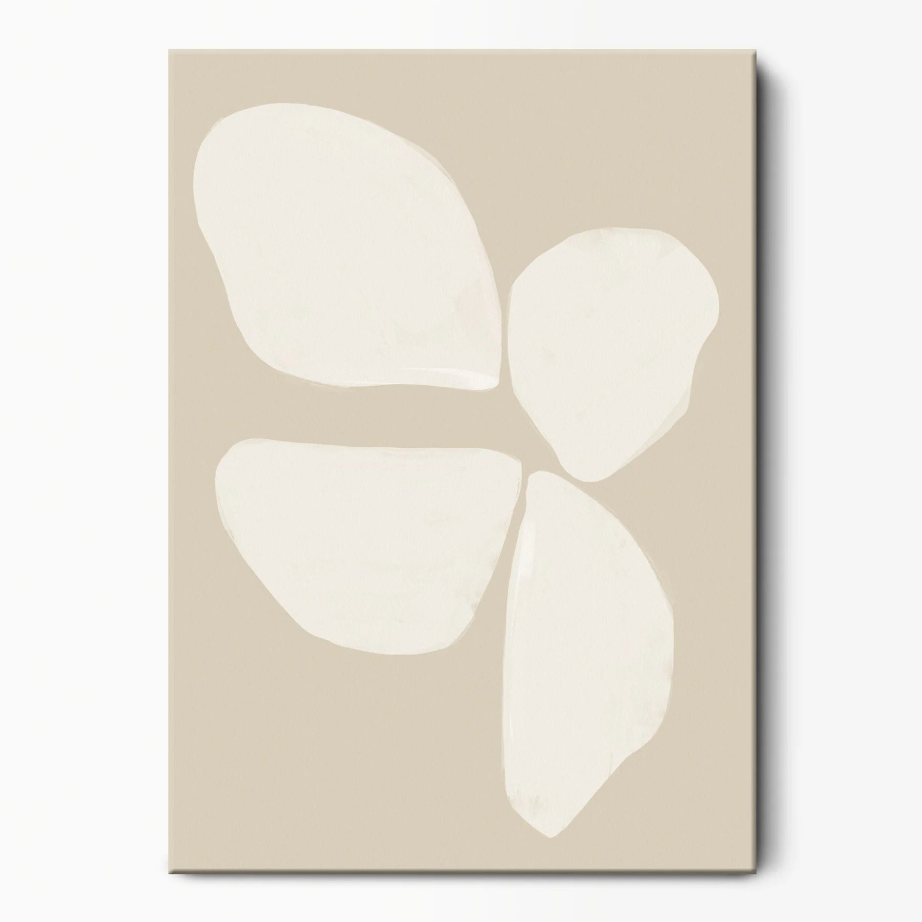 Collection d'art de fleurs de vent