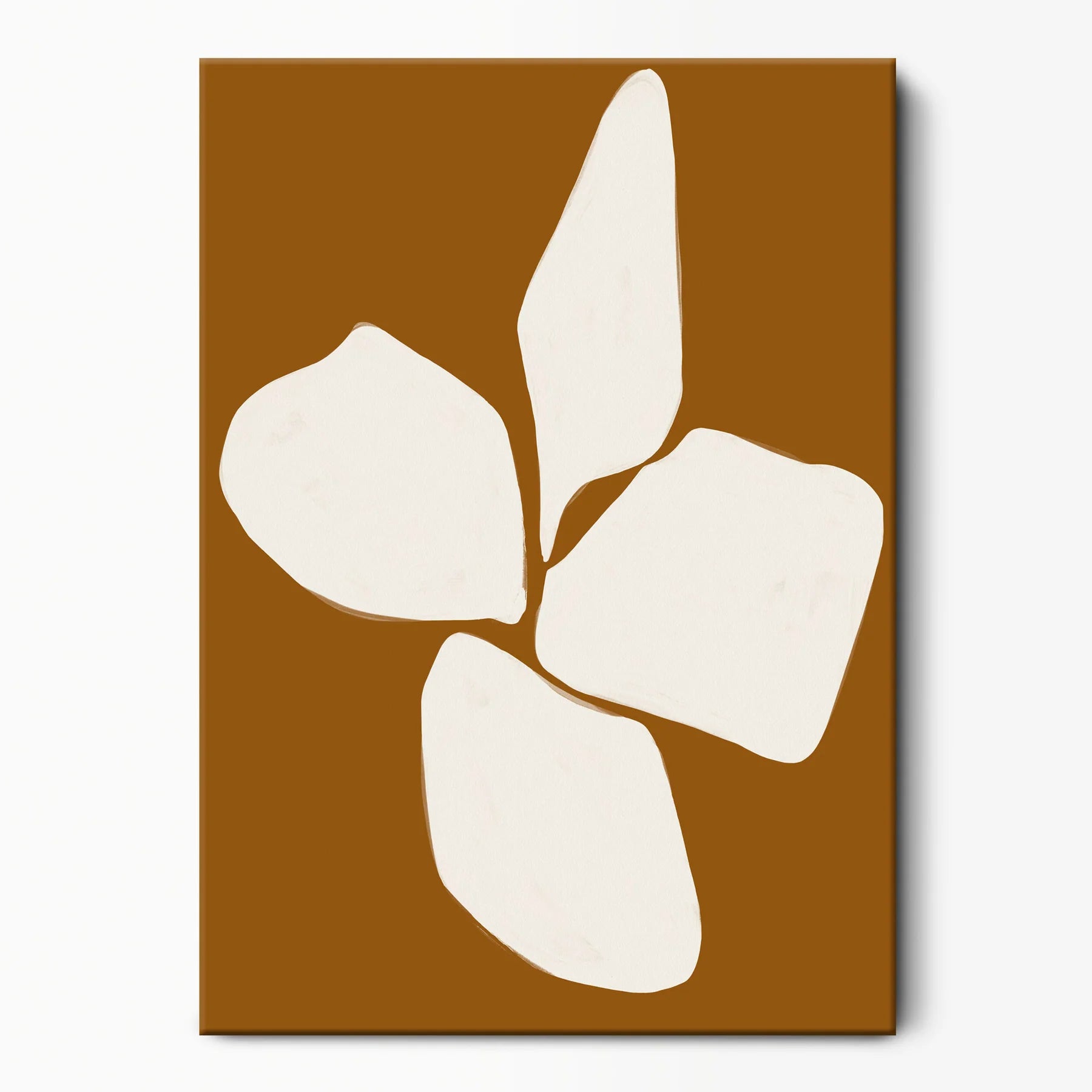 Collection d'art de fleurs de vent