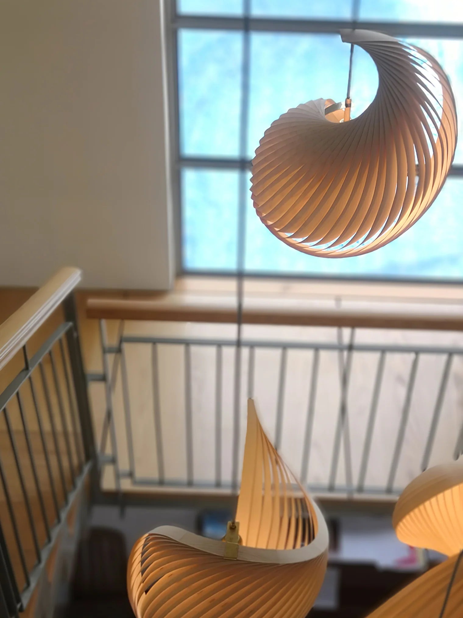 Viseča lučka Nautilus Shell