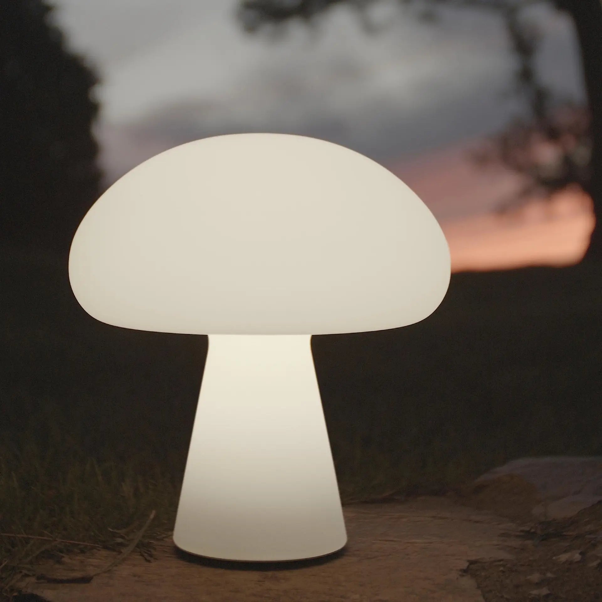 Obello Table Lamp